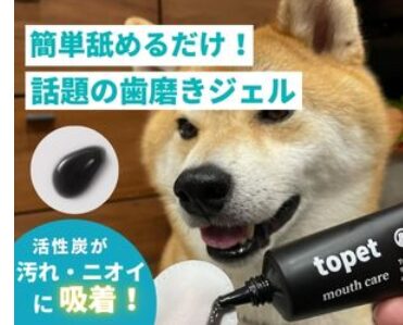 デンタブラック