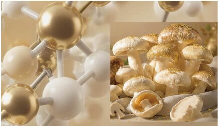 エルゴチオネインサプリ